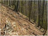 Kraljev hrib - Kapela Marije Snežne (Velika planina)